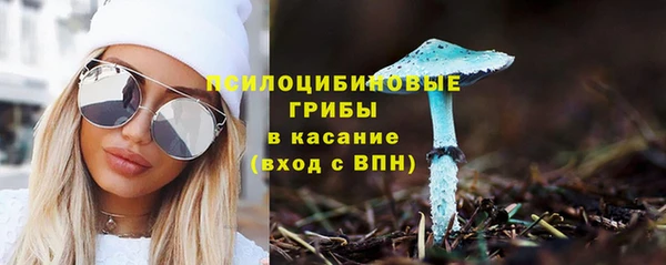 СК Бронницы