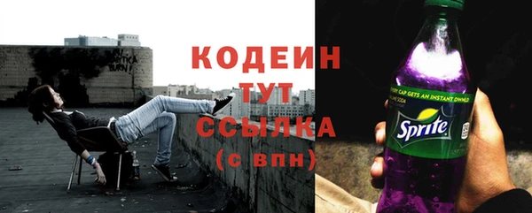 СК Бронницы
