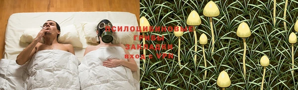 СК Бронницы