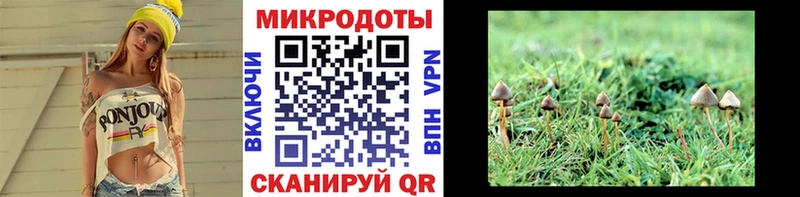 Псилоцибиновые грибы Magic Shrooms Туймазы